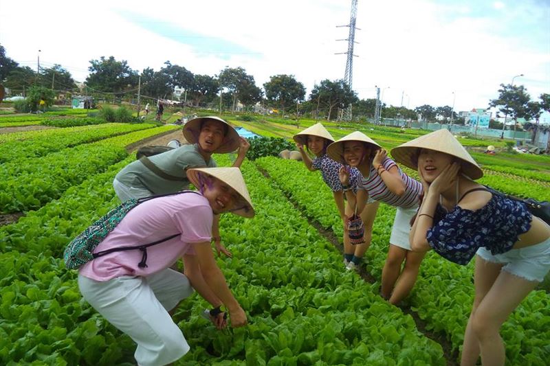 PRIVATE TOUR : DA NANG – HOI AN - HUE 6DAYS 5NIGHTS